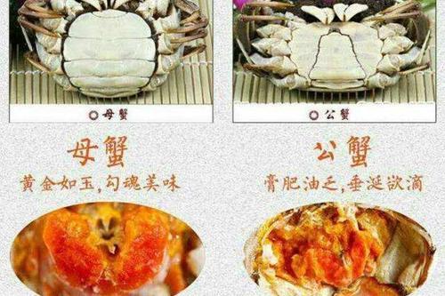 科普热点刚死的螃蟹能吃吗哪些部位不能吃误食可能会死人