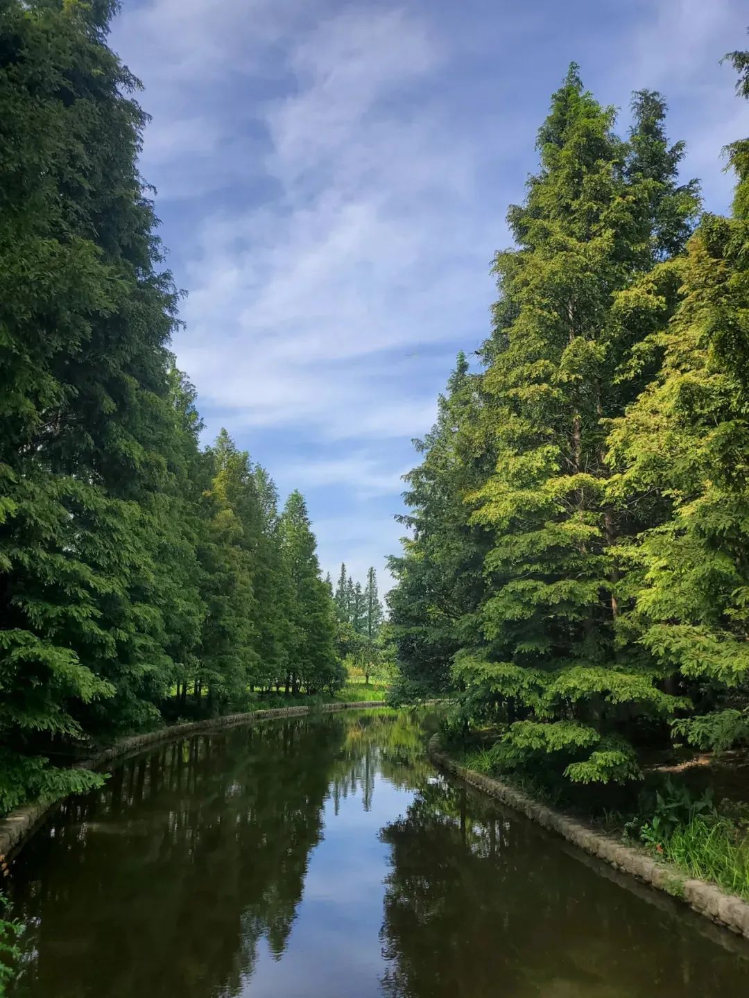 探索不惧炎夏申城这些地方可享清凉之意