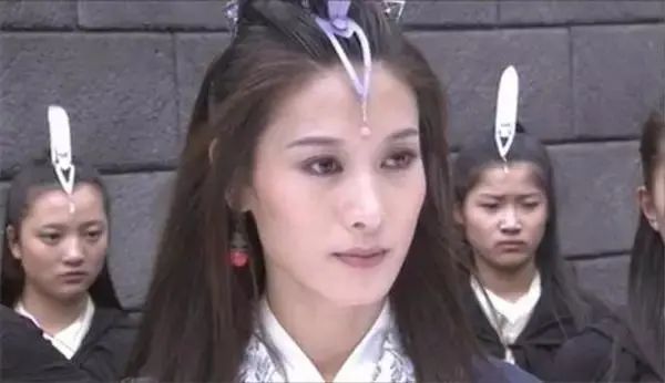 曾参演《辛十四娘》《武则天》《水浒传》《隋唐演义》《天龙八部》等