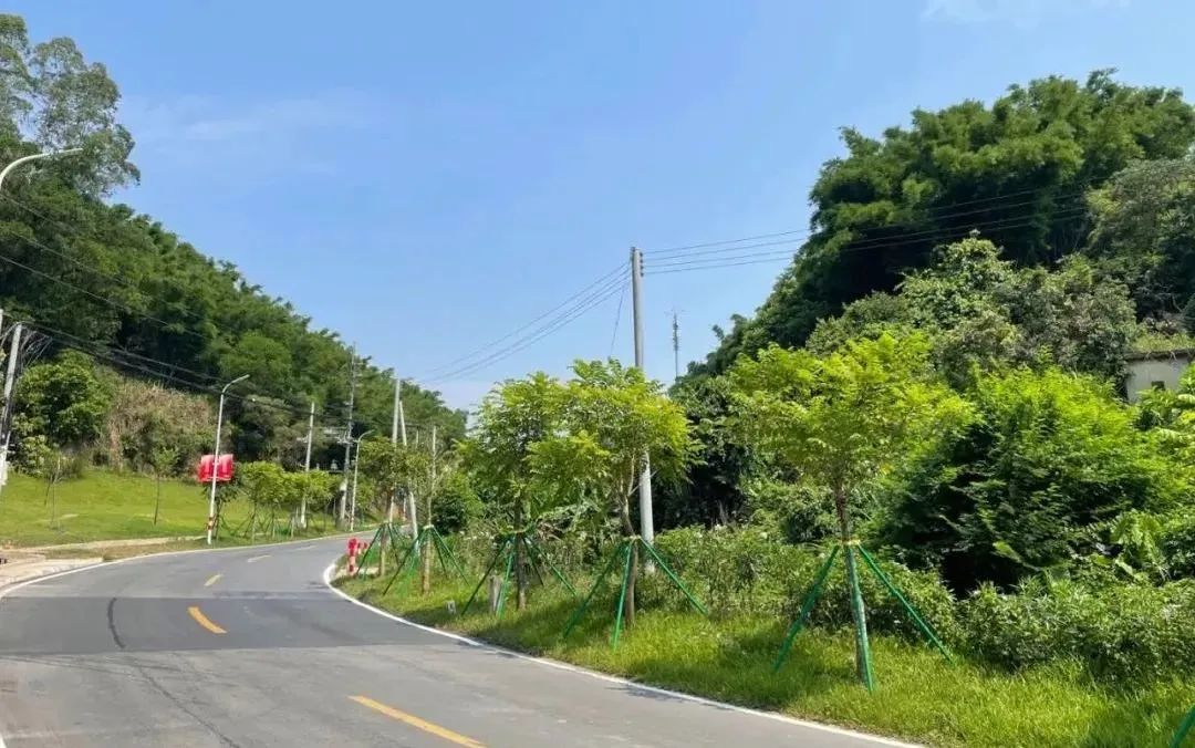 而这条步道就如一线绿色珠链横跨长岭街道黄麻,黄登,长平,岭头四大