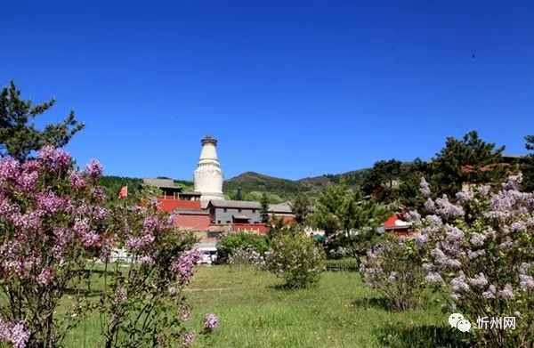 五台山景区继续实行实名制分时预约的公告