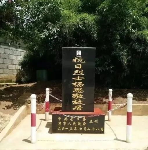 杨思敬英雄,您回来吧!
