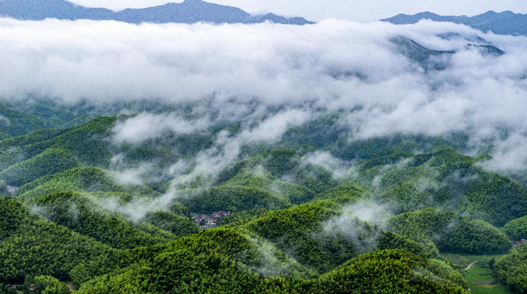 咸宁之美 || 拥一片竹海,枕一山云雾,在陈家沟躺进这个秋天!