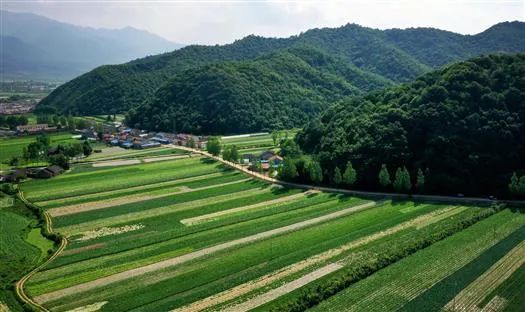 刘潇 摄针对陕南秦巴山区这一特点,在高标准农田建设过程中,陕西省主