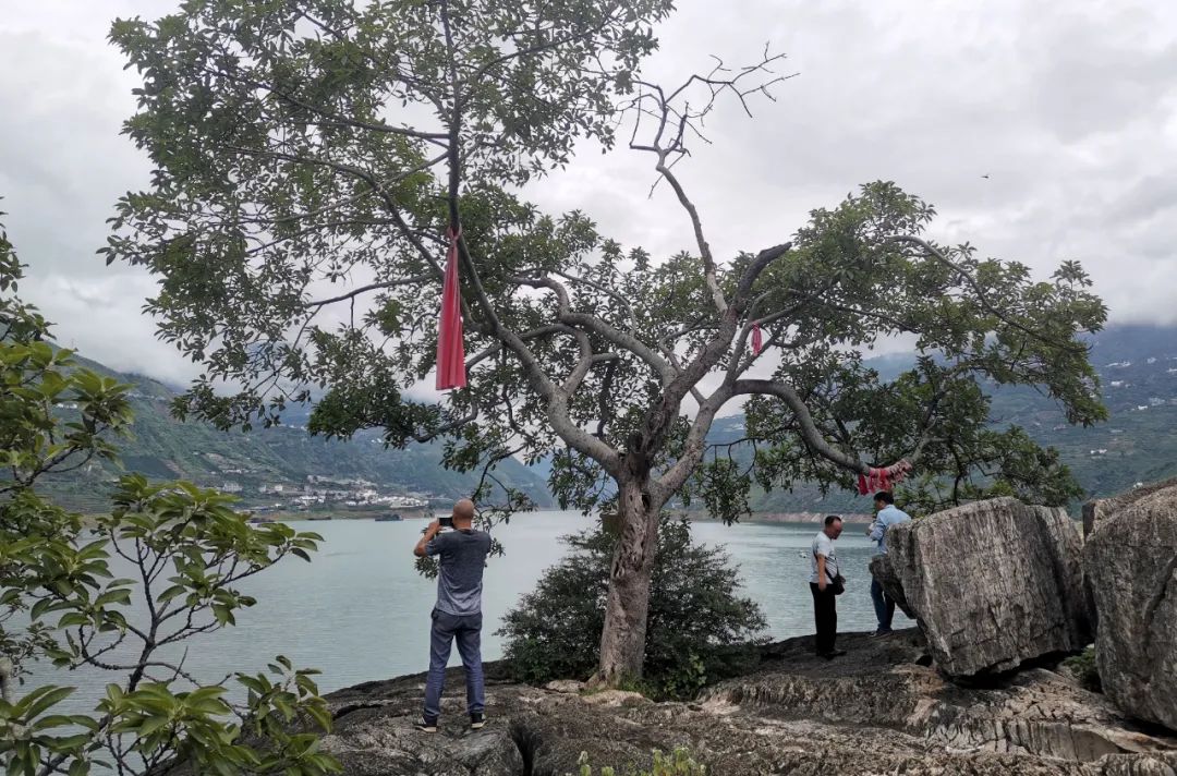 影像丨陈永明:神秘的青龙古石城