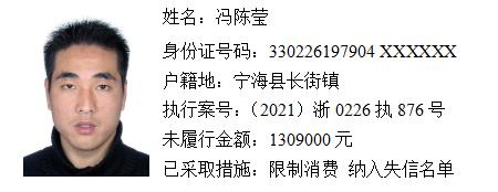 曝光台宁海法院曝光最新一批失信被执行人名单最高欠款130万元