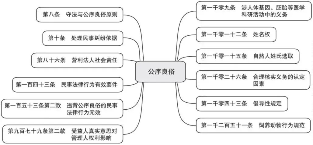 词条学典民法典的六大基本原则