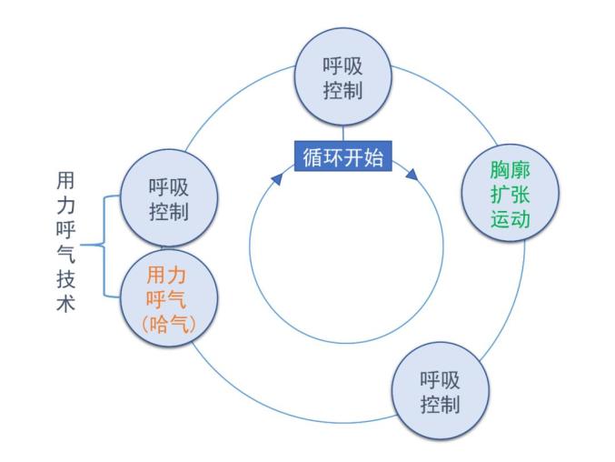 护理在线能够改善肺功能的呼吸方法主动循环呼吸技术