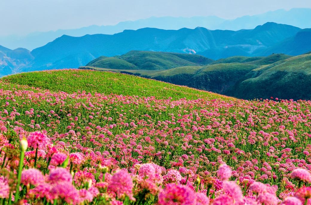 关注│"洞天福地·花海毕节"阿西里西旅游区新品发布会在赫章举行