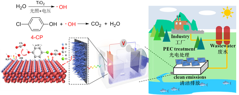 兰州大学科研团队在持久性有机污染物光电催化降解方面取得重要进展