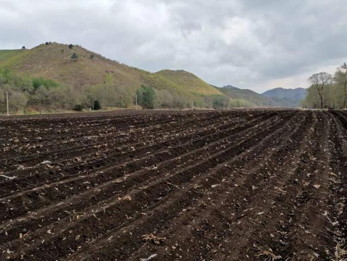 鞍山一地入选!辽宁建160万亩黑土地保护示范区