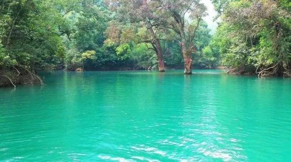 科普面对面碧绿的湖水真的健康吗