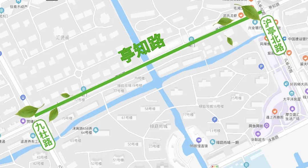 奉贤区八字桥路(陈桥路—环城东路)香樟金山区象州路(新城路—富川路)