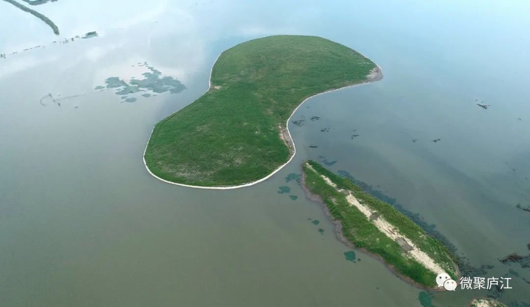 黄陂湖湖光水景 王闽 摄美好的一天从清晨开始早安,各位!早安,庐江!