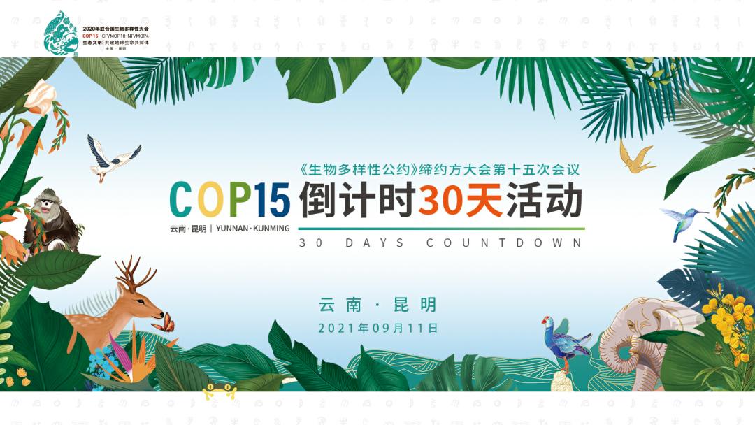 cop15倒计时30天活动将在昆举行这些亮点不容错过