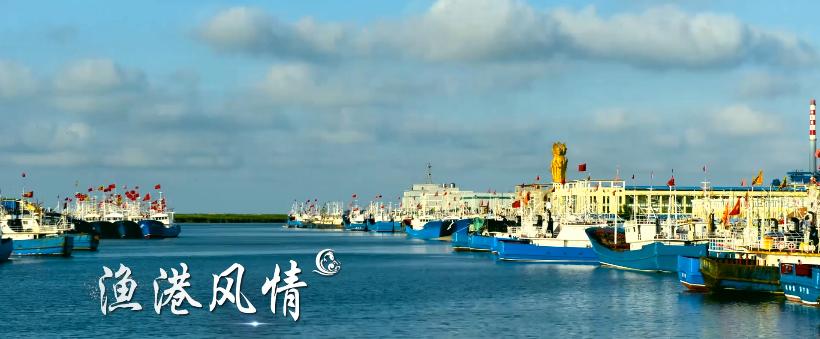 9月16日,黄沙港开渔!北纬33度 ,看千帆竞渡 !
