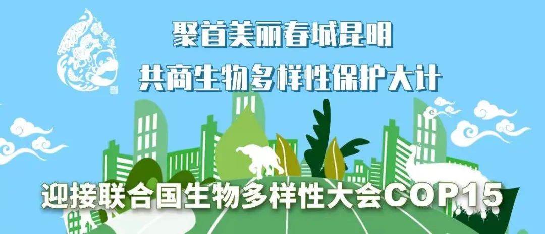 【助力cop15】生物多样性纪录片《生命之歌》先导片