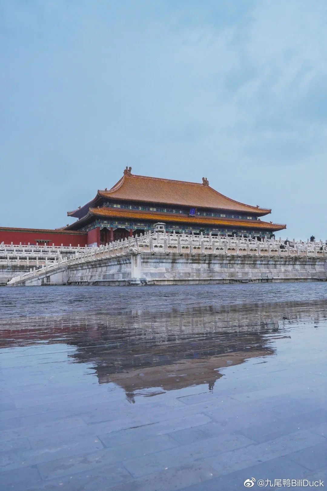 她把紫禁城的猫拍出了故事,这次又要拍100种故宫的色