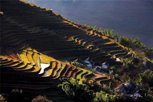 千家寨风景区哀牢山苦聪梯田随山势地形变化,因地制宜,坡缓地大则