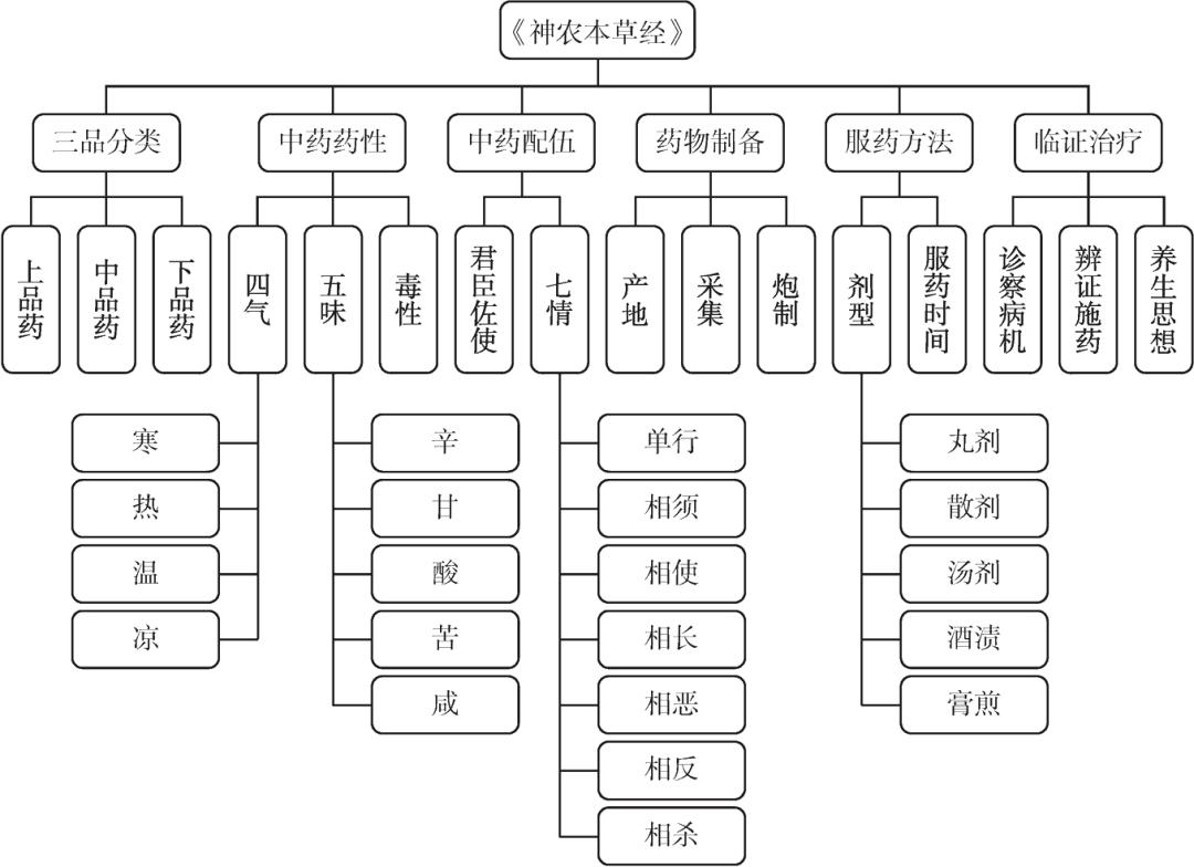 其中,6个一级概念可归纳为"三品分类"中药药性"中药配伍"药物制备"