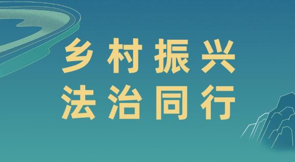 法律服务零距离乡村振兴添动力