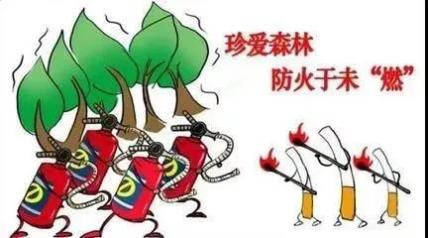 防火知识森林防火宣传知识