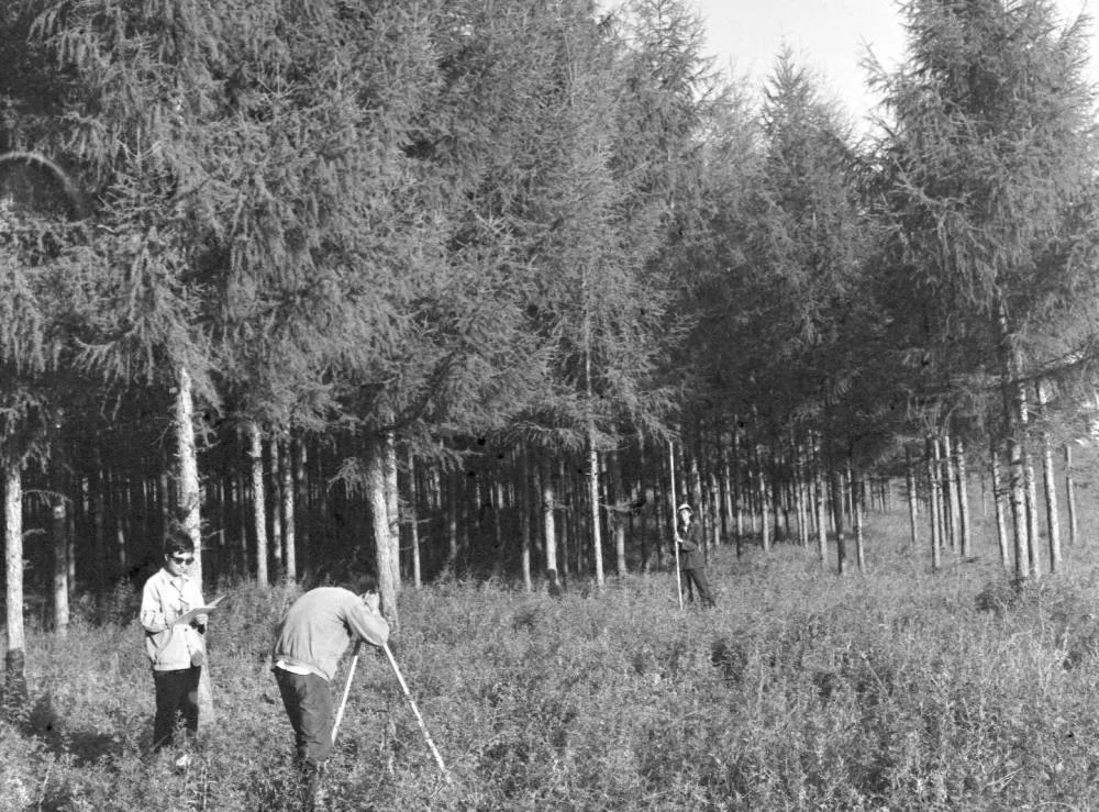 1962年,塞罕坝机械林场正式组建,来自全国18个省市的127名大中专毕业