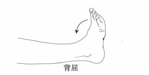 足外旋:坐下,双腿抬起与身体呈90度,膝盖绷直,两个脚跟并在一起,做