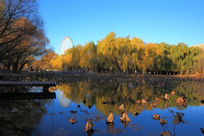 城市生态旅游的基本理论与交集、胡波的区别