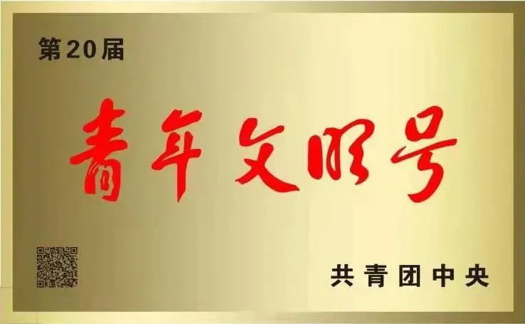 西藏自治区消防救援总队两个集体获评全国青年文明号