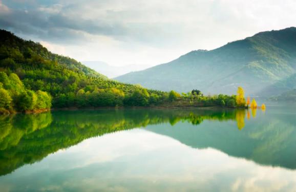 近年来,随着秦岭生态环境的持续改善,这里成为野生动植物的绿色家园