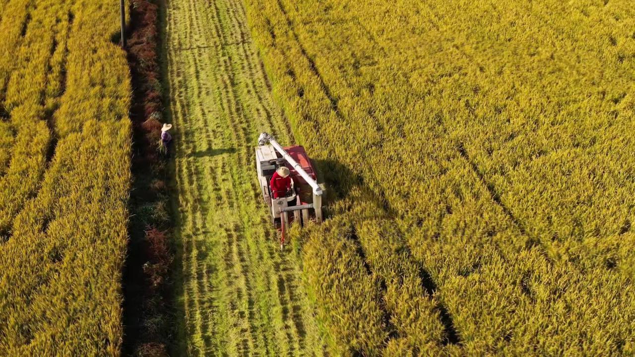 农业社会化服务体系-头条资讯-人工智能实验室-中国人工智能网