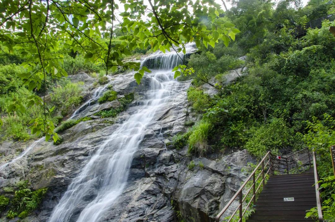 国庆黄金周奇妙游来海南百花岭探秘仙山福地雨林奇观