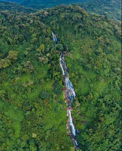 国庆黄金周奇妙游来海南百花岭探秘仙山福地雨林奇观