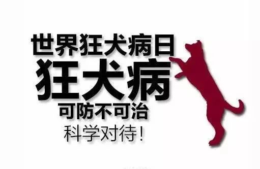 一旦发病病死率近乎100除了犬这些动物也会传播狂犬病