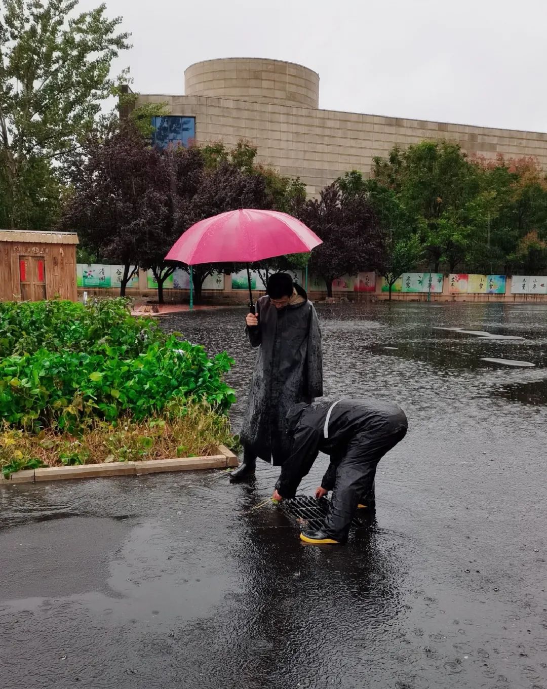 总有一些守护带给我们感动,风雨中,在城阳校园看雨中最暖的风景听着