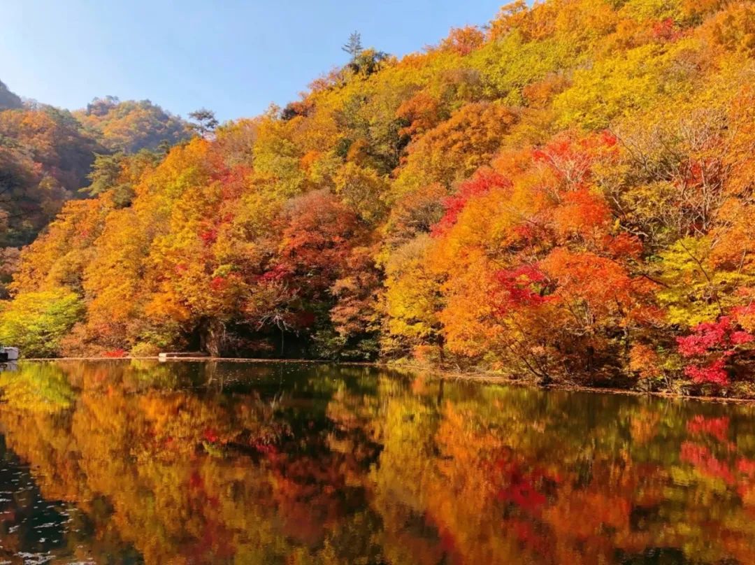 今日份喜讯正式通车免费宝坪高速邀您国庆节共赏秦岭梦幻秋景