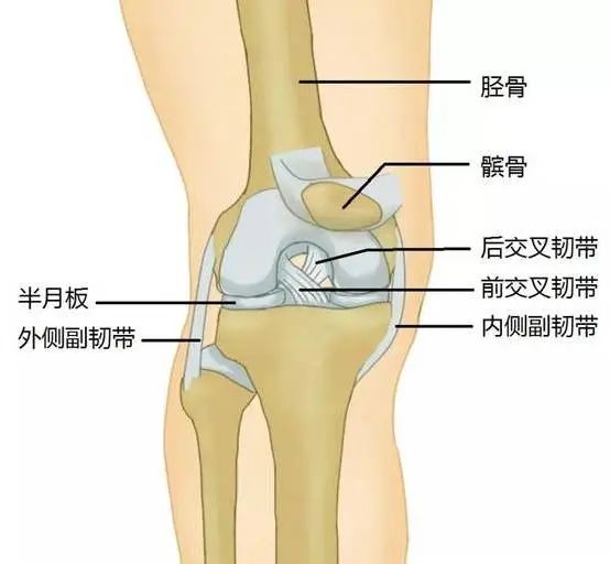 直面疼痛一并解决