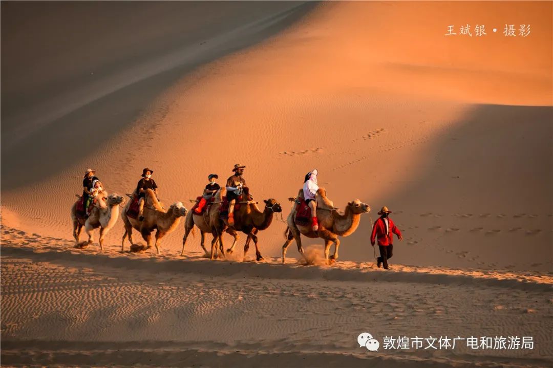 【美景敦煌】大漠金秋风景异 美景处处如画屏