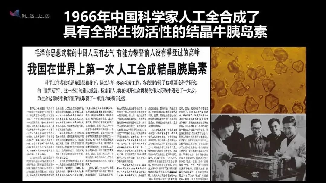 奋战,1966年,中国科学家人工全合成了具有全部生物活性的结晶牛胰岛素