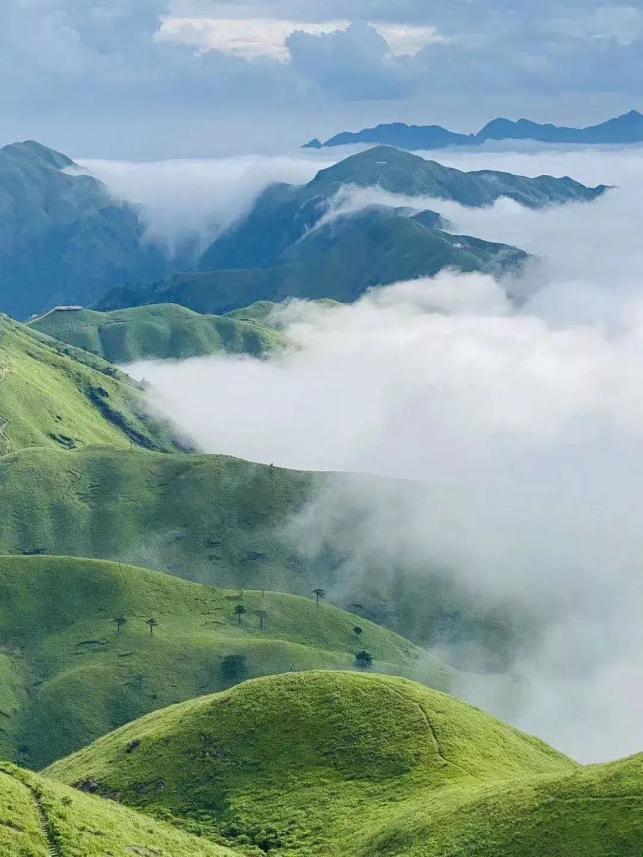 武功山下,萍水相逢,桃园山居,就是您的诗和远方!