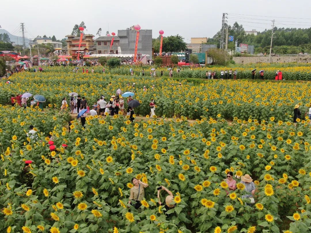 来宾市人大常委会主任韦平出席2021年武宣县金葵花文化旅游节活动