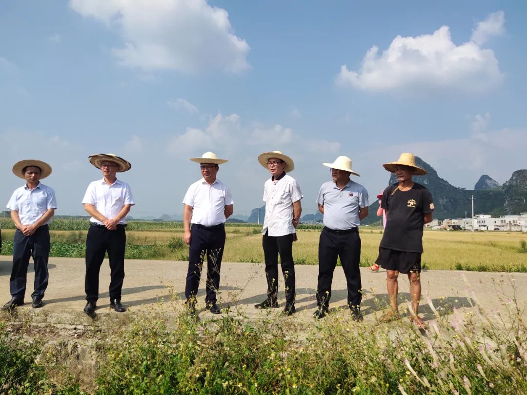 陈前平抗旱救灾要突出保民生保收成