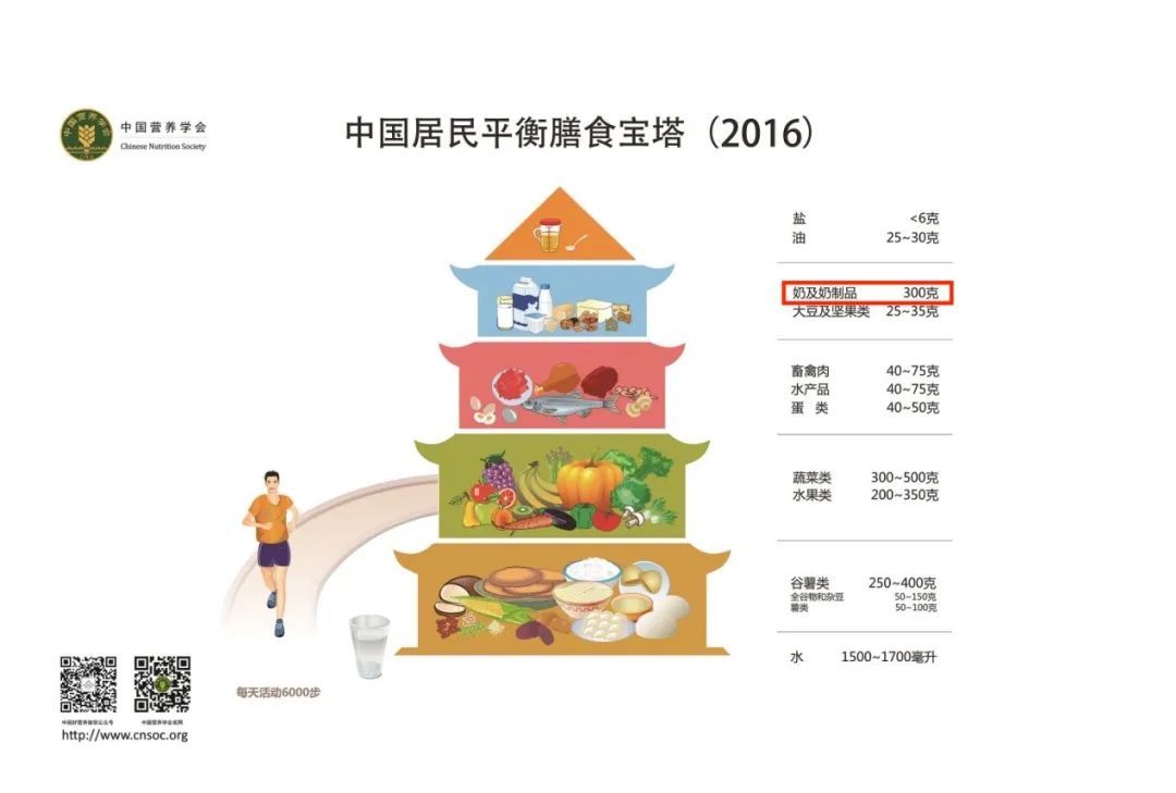 3 中国居民平衡膳食宝塔推荐每天300克奶及奶制品中国居民平衡膳食