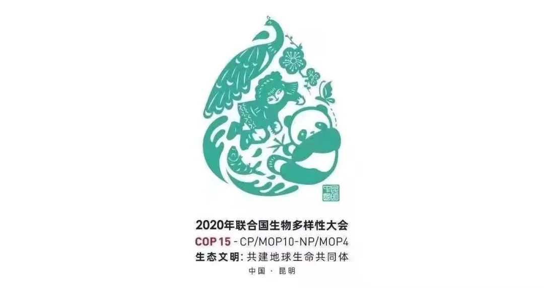 相约cop15 | 云南省妇联"生物多样性网络知识竞赛"等