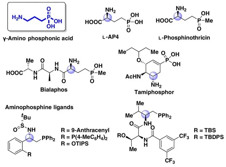 不对称合成γ氨基酸和γ氨基磷酸衍生物