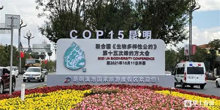 百秒视频看见cop15与昆明