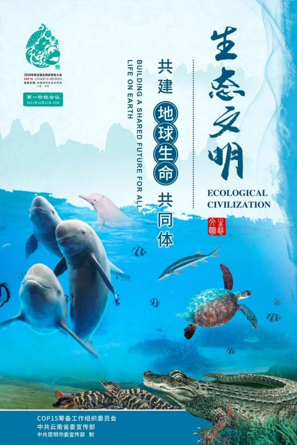cop15大会主题海报正式发布
