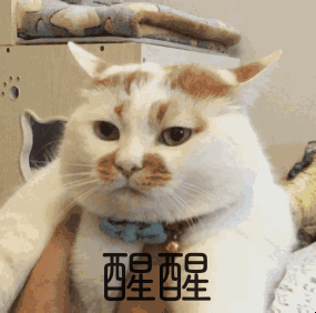 热!热!国庆假期柳州高温持续,什么时候会降温?