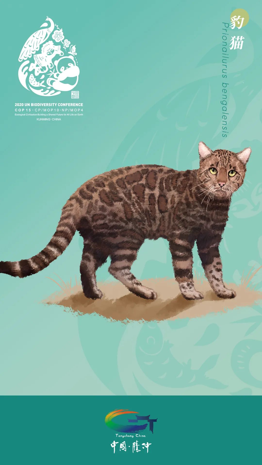 cop15看腾冲丨超美高黎贡山生物手绘献礼cop15大会